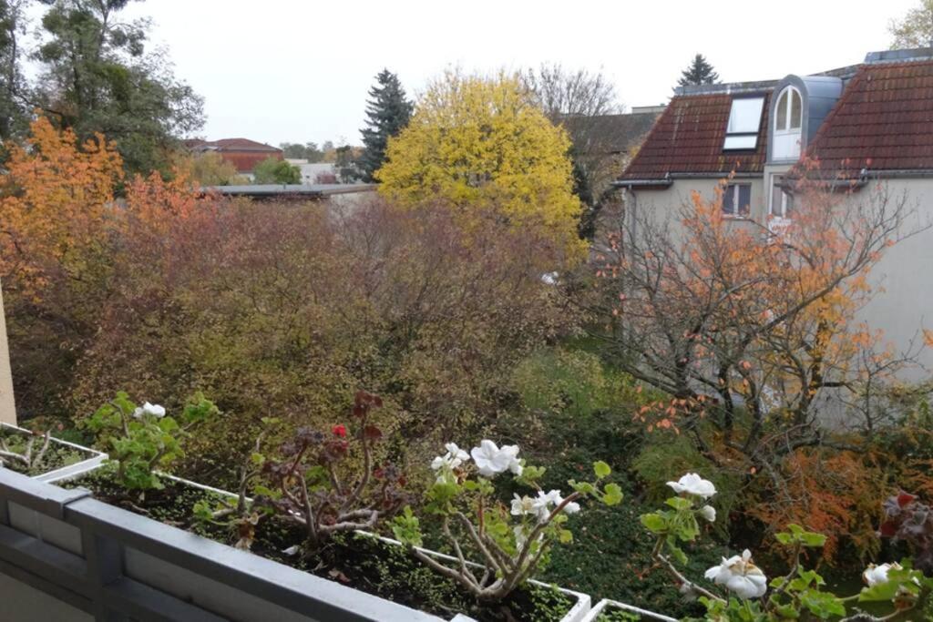 Schoene, Ruhige Wohnung In Berlin-Steglitz Екстер'єр фото