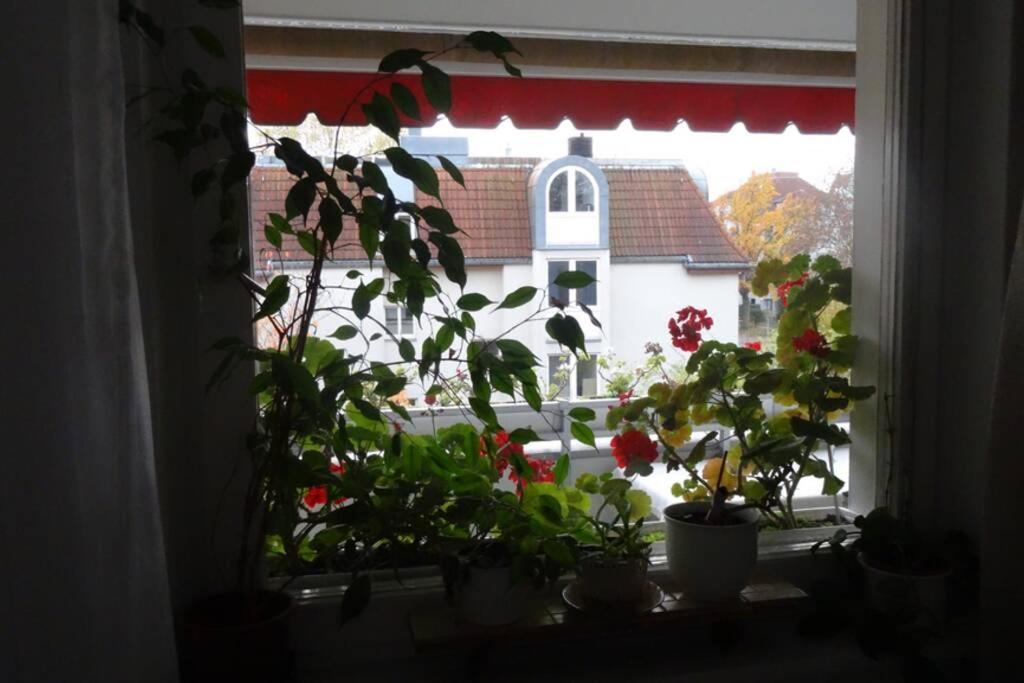 Schoene, Ruhige Wohnung In Berlin-Steglitz Екстер'єр фото
